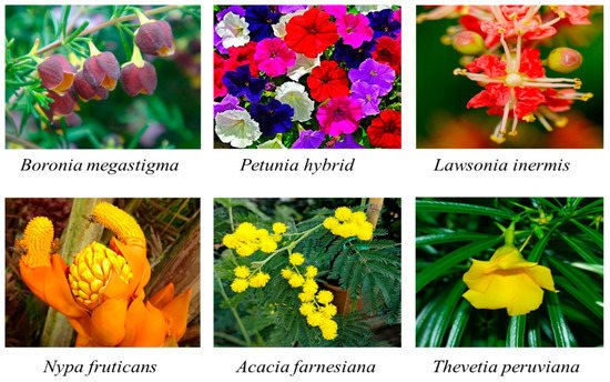 Plants 10 00754 g004 550