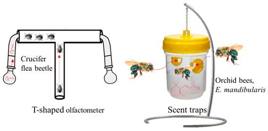 Plants 10 00754 g006 550