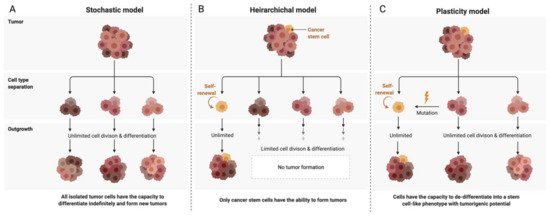 Ijms 22 04091 g002 550