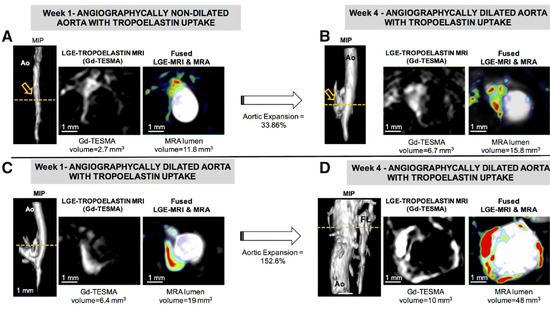 Ijms 22 02685 g002 550