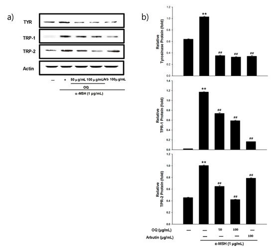 Ijms 22 04264 g005 550