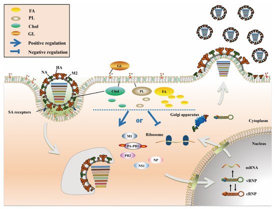 Pathogens 10 00303 g001 550