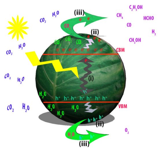 Catalysts 11 00418 g003 550