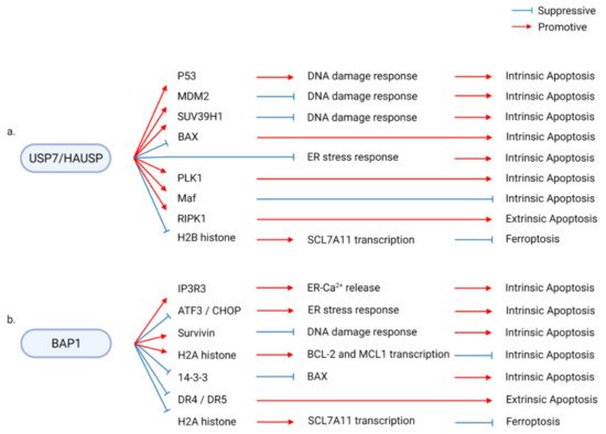 Ijms 22 04352 g003 550