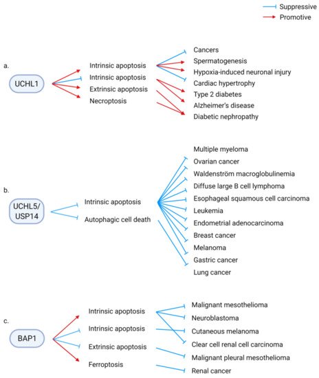 Ijms 22 04352 g004 550