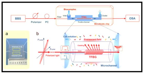 Electronics 10 00973 g014 550