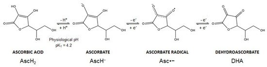 Cancers 13 01428 g002 550
