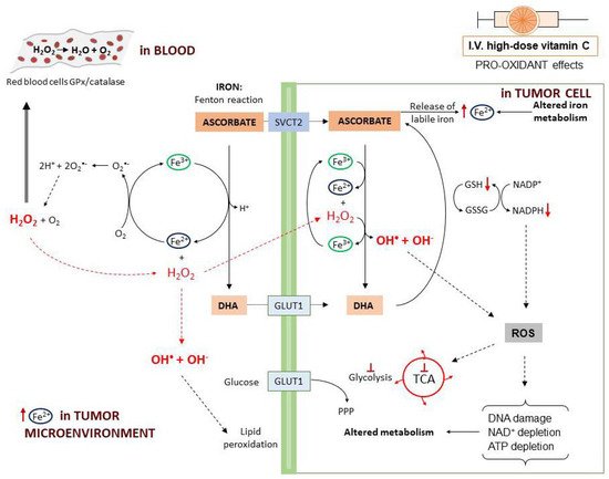 Cancers 13 01428 g003 550