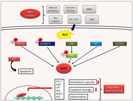 Molecules 26 02424 g004 550