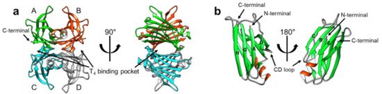 Ijms 22 04429 g001 550