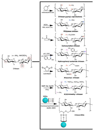 Pharmaceutics 13 00621 g003 550