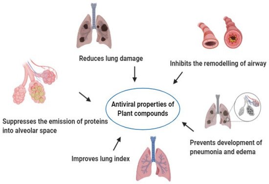 Molecules 26 01775 g004 550