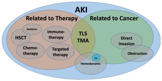 Diagnostics 11 00611 g001 550