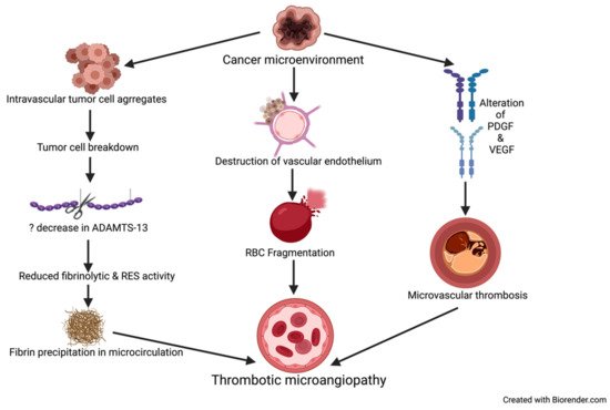 Diagnostics 11 00611 g002 550