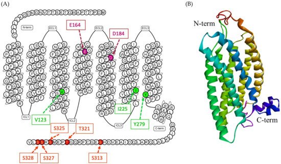 Cells 10 01033 g002 550