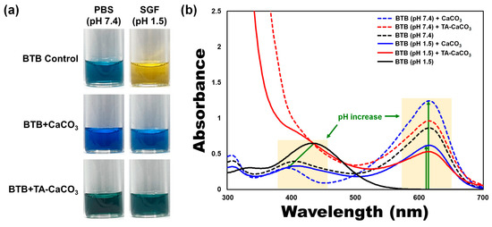 Ijms 22 04614 g005 550