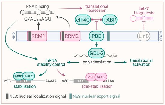 Biology 10 00407 g001 550