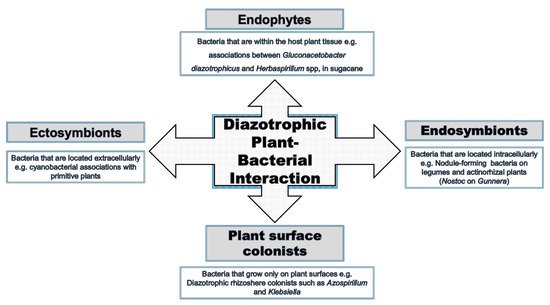 Plants 10 00935 g002 550