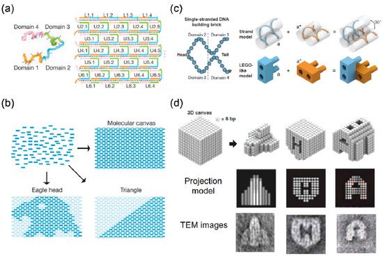 Nanomaterials 10 02047 g002 550