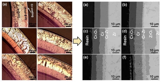 Coatings 11 00557 g005 550