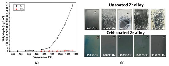 Coatings 11 00557 g008 550