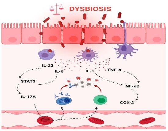 Microorganisms 09 01021 g003 550