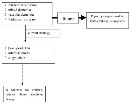 Cells 10 00873 g001 550