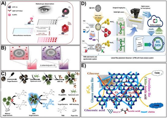 Biomedicines 09 00540 g002 550