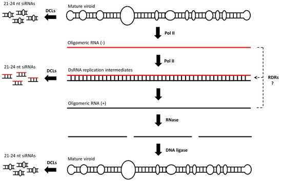 Cells 10 01187 g001 550