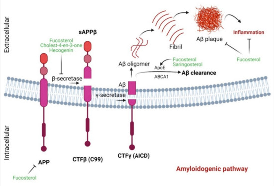 Marinedrugs 19 00167 g003 550