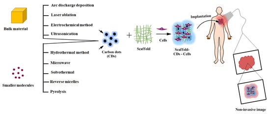 Ijms 22 05378 g001 550