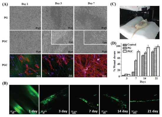 Ijms 22 05378 g005 550