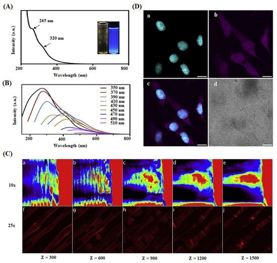 Ijms 22 05378 g006 550