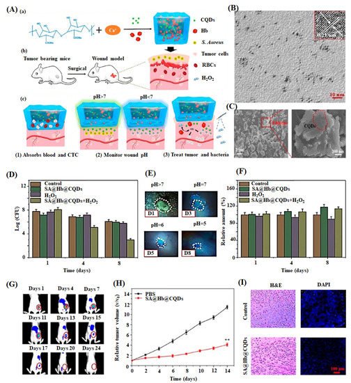 Ijms 22 05378 g007 550