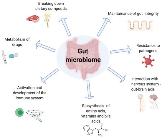 Nutrients 13 01780 g001 550