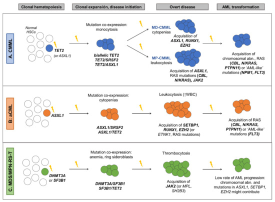 Cancers 13 02120 g003 550