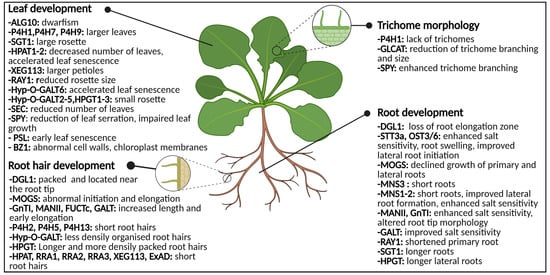 Biomolecules 11 00756 g005 550