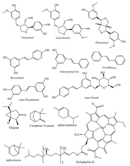 Molecules 26 03005 g002a 550