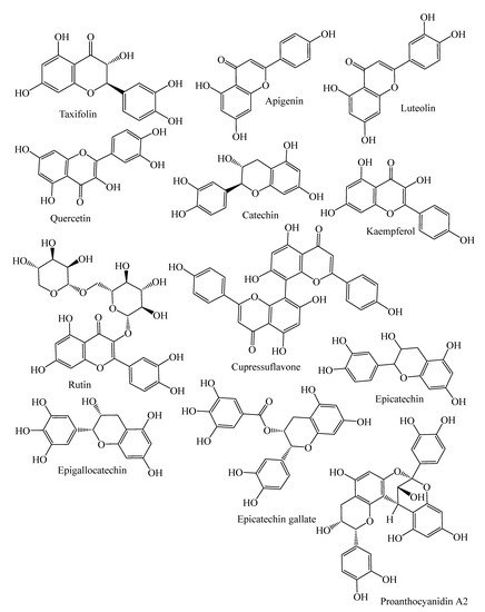 Molecules 26 03005 g002b 550
