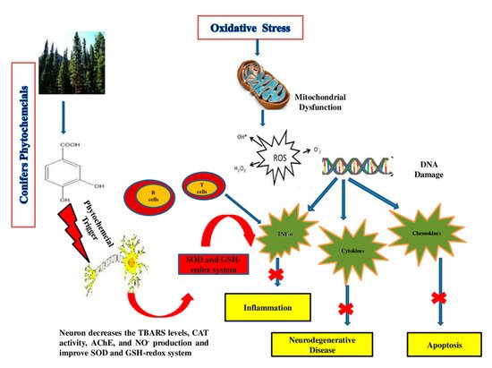 Molecules 26 03005 g003 550
