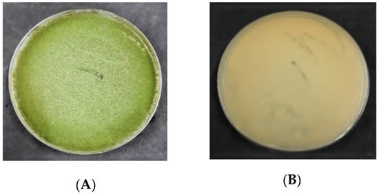 Agriculture 10 00450 g002 550