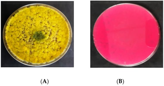 Agriculture 10 00450 g003 550