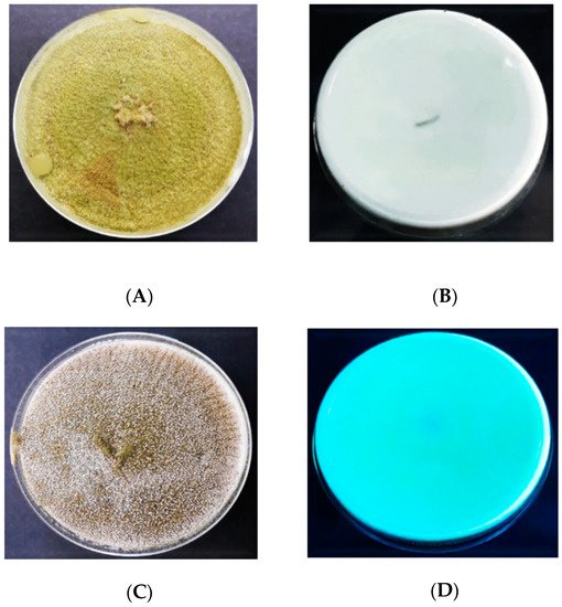 Agriculture 10 00450 g006 550