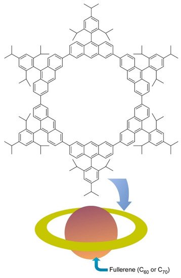 Molecules 26 01621 g005 550