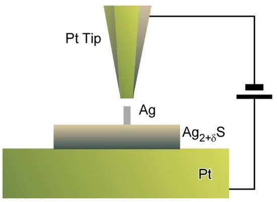 Molecules 26 01621 g011 550