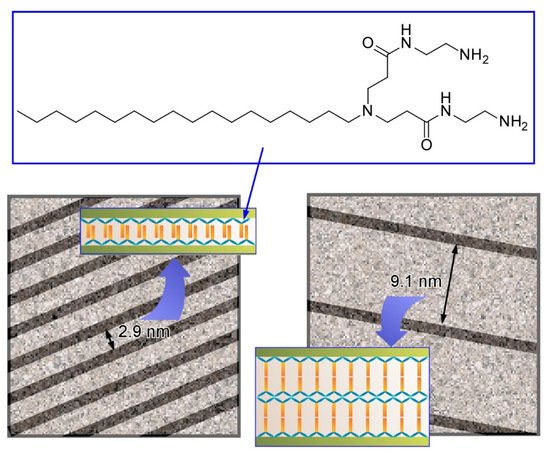 Molecules 26 01621 g013 550