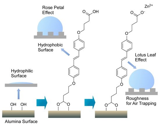 Molecules 26 01621 g014 550