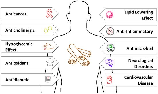Forests 12 00648 g002 550