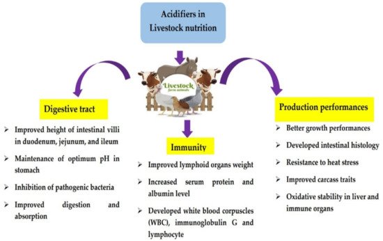 Life 11 00476 g001 550