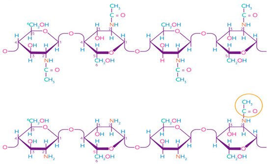 Polymers 13 01592 g005 550